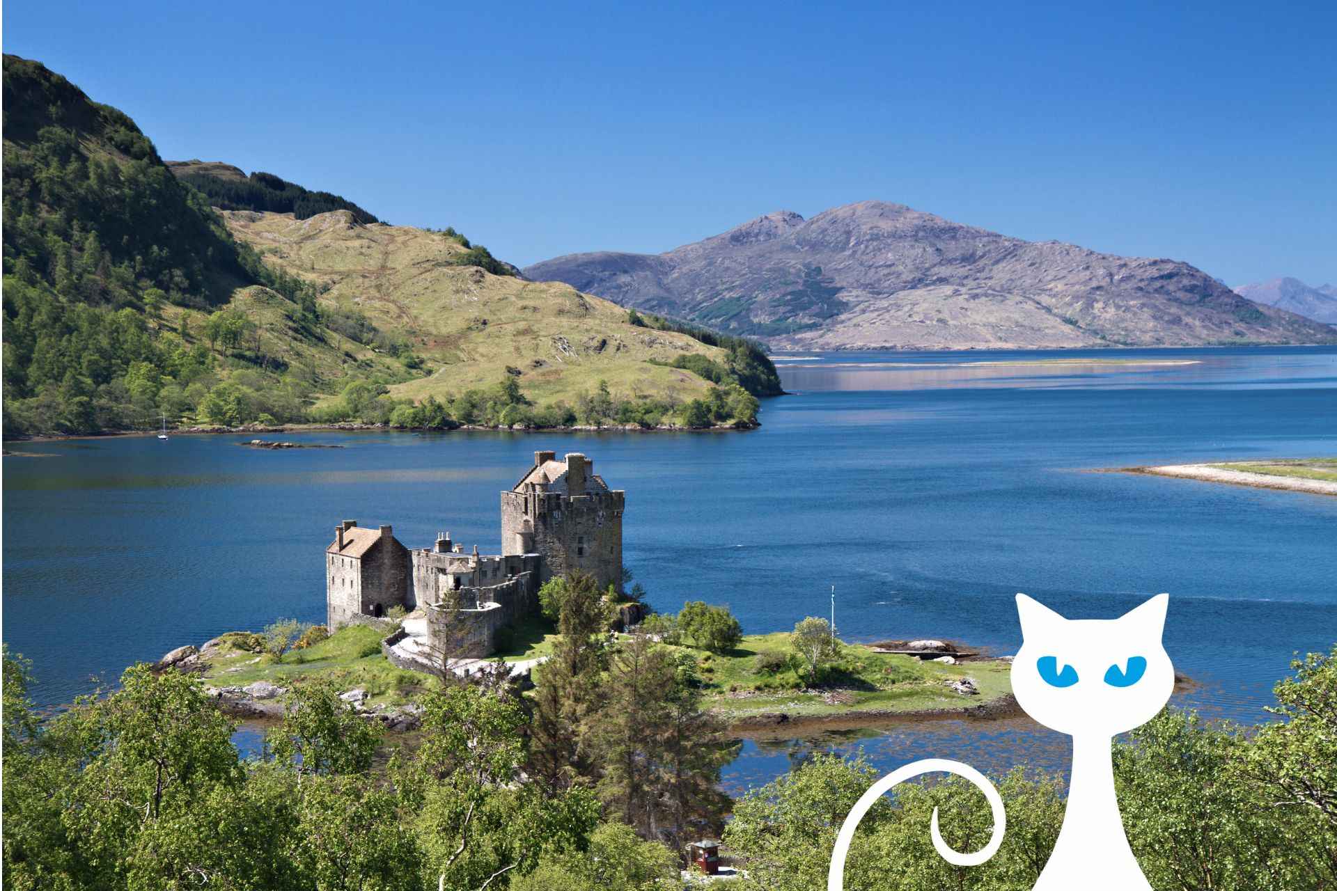 Ćwiczenia - czasownik 'to be' w czasie Present Simple w zdaniach twierdzących