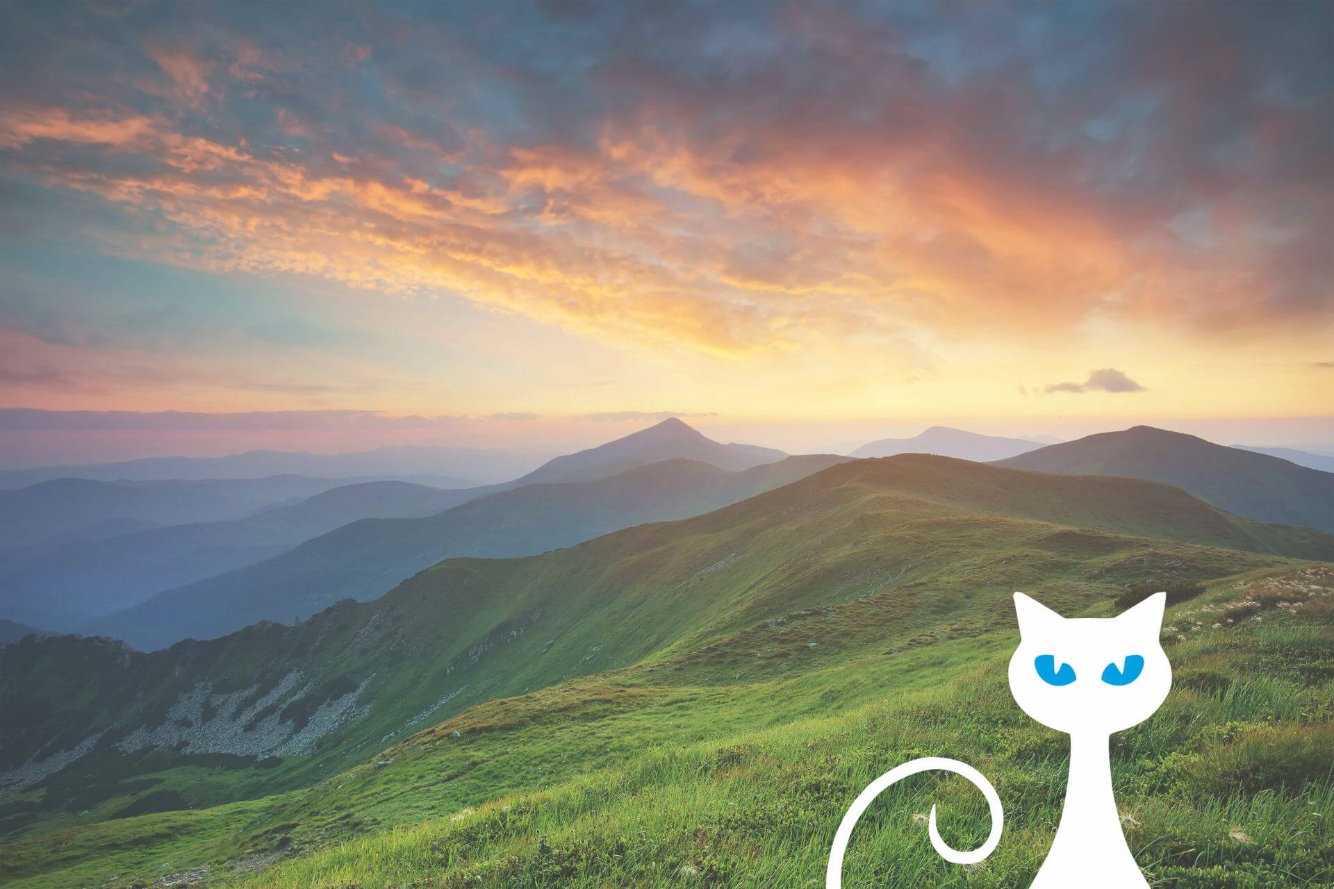 Jak używać Present Simple?