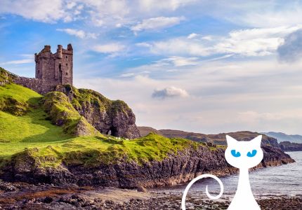 Present Continuous: Konstrukcja czasu, jak i kiedy używać?